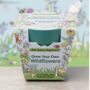 Childs Wild Flowers Growing Kit And Stickers, thumbnail 1 of 3