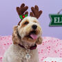 Personalised Reindeer Dog Fun Christmas Tag, thumbnail 2 of 12