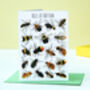 Bees Of Britain Art Blank Greeting Card, thumbnail 1 of 10