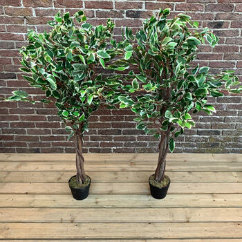 Pair Of Artificial Topiary Fig Trees, 2 of 6