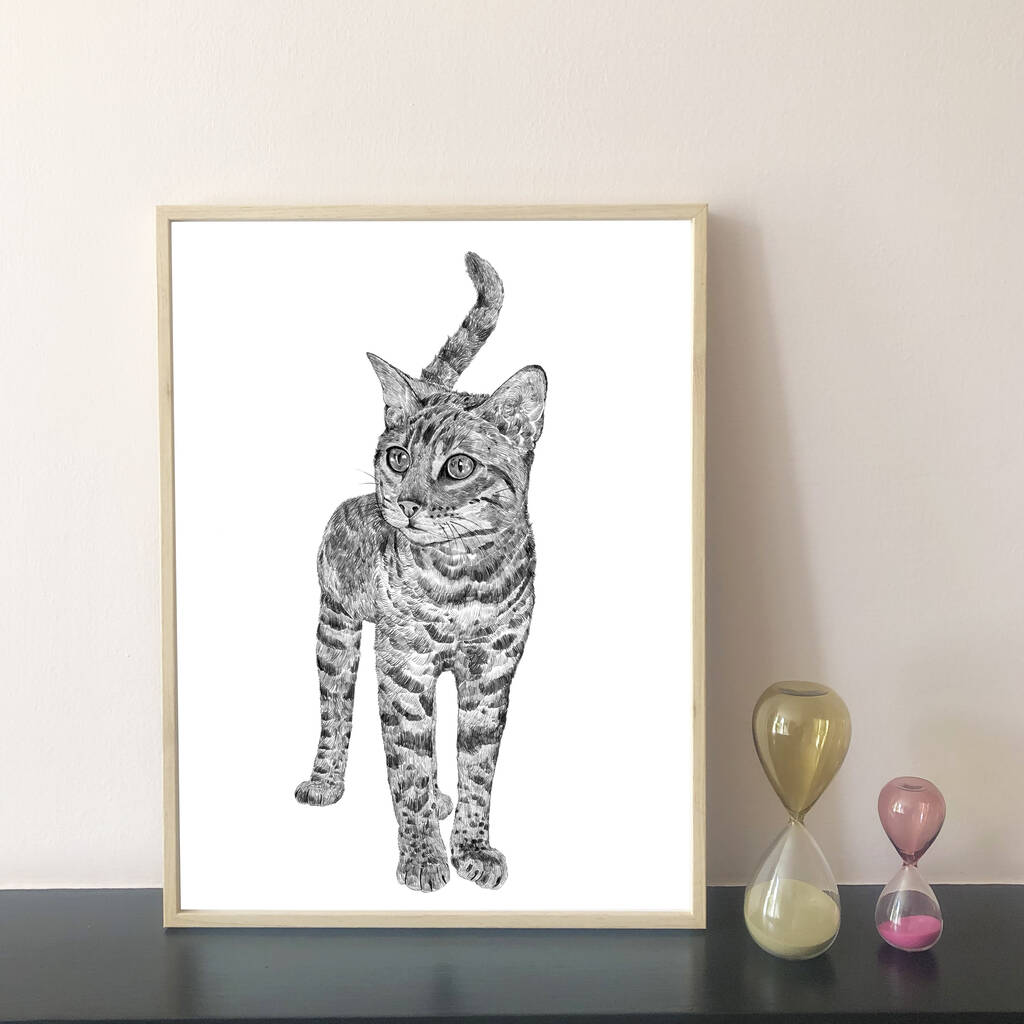 Cat Print By Ros Shiers | notonthehighstreet.com