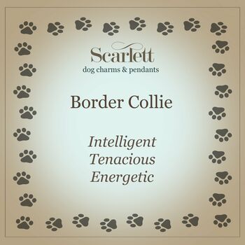 Border Collie Personalised Silver Necklace, 8 of 9