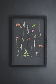 A3 Framed Pressed Flower Art – Shadow Garden On Black, 2 of 8