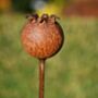 Three Rusty Metal Poppy Seedhead Garden Ornament Stakes, thumbnail 4 of 4