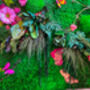Preserved Moss Wall, Moss Wall Art With Flowers, thumbnail 6 of 7