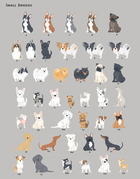 Choose The Breed Dog Note Cards With Envelopes, 4 of 9
