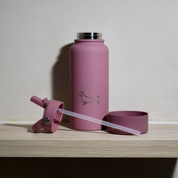 Dachshund 30oz Water Bottle With Removable Dog Bowl, 5 of 6
