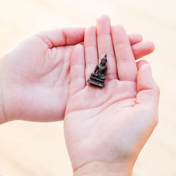 Mini Buddha With Appache Blessing, 5 of 5