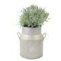 Lavender Angustifolia In Milk Churn Planter, thumbnail 3 of 3