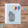 So Excited For You Cat Greetings Card, thumbnail 1 of 1