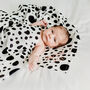 Dalmatian Print Baby Gift Xl Muslin, thumbnail 2 of 3