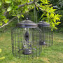 Squirrel Proof Hanging Bird Seed And Nut Feeders, thumbnail 1 of 9