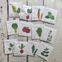 Kitchen Garden Kit With Seeds, Tea Towel And Cook Book, thumbnail 5 of 11