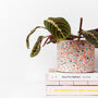 Rainbow Handmade Terrazzo Indoor Planter Large, thumbnail 1 of 8