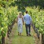 Cheese And Wine Tasting Experience At Chapel Down Vineyard, thumbnail 4 of 11