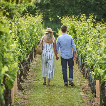 Cheese And Wine Tasting Experience At Chapel Down Vineyard, 4 of 11