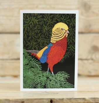 A Pack Of Four Mixed Exotic Pheasant Cards, 2 of 5