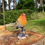 Pair Of Cute Robin Red Breast Garden Ornaments, thumbnail 9 of 9