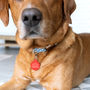 Personalised 'Hello My Name Is' Pet ID Tag, thumbnail 5 of 9