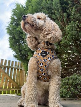 Woodland Badger Dog Harness, 7 of 12