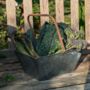 Zinc Garden Trug 25cm W/ Handle, thumbnail 5 of 5