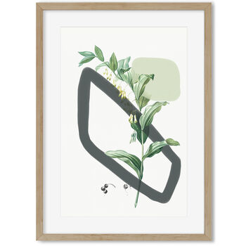 Vintage Plants With Shapes Art Print, 3 of 6