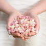 100 Handfuls Of Biodegradable Wedding Confetti, thumbnail 5 of 12