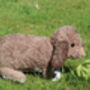 Personalised Crocheted Cuddly Toy Of Your Rabbit, thumbnail 3 of 5
