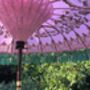 Cream And Gold Hand Painted Garden Parasol, thumbnail 3 of 4