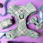 Dog Harness Set Bundle Collar Lead Set Sage Green Check, thumbnail 9 of 12