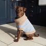 Marlee Dog Jumper And Matching Scarf Set In Sky Blue, thumbnail 2 of 9