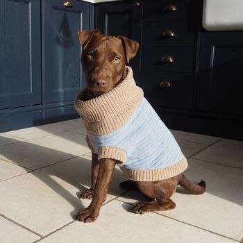 Marlee Dog Jumper And Matching Scarf Set In Sky Blue, 2 of 9