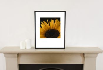 Sunflower Photographic Art Print, 2 of 4
