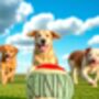 Personalised Dog Gifts Tennis Ball, thumbnail 1 of 12