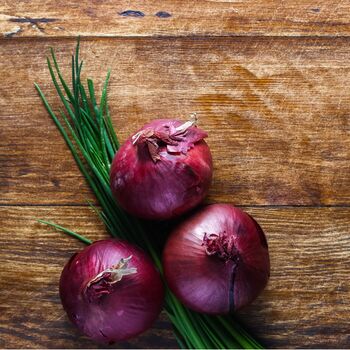 Winter Vegetable Plants Red Onion 24 X Plant Pack, 2 of 3