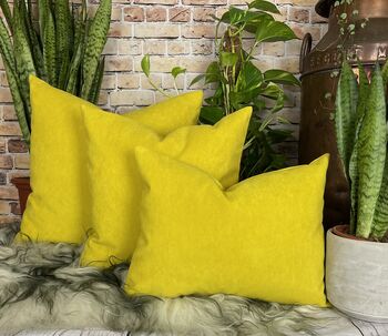 Sunshine Yellow Velvet Cushion, 9 of 12
