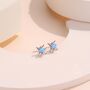 Delicate Starburst Stud Earrings, thumbnail 4 of 11