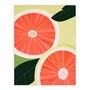 Guava In Java Fruit Orange Green Kitchen Wall Art Print, thumbnail 6 of 6