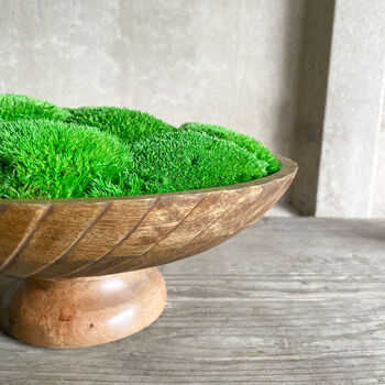 Preserved Moss In Mango Bowl, 4 of 4