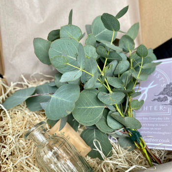 Fresh Eucalyptus Bud Vase Gift Set, 6 of 9