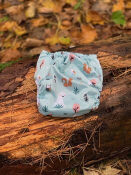 Pocket Nappy – Into The Woods, 3 of 3