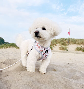 Rusty Bear Dog Harness, 5 of 11