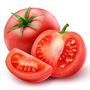 Tomato Plants 'Moneymaker' 12 Plug Plant Pack, thumbnail 1 of 5