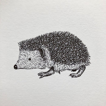 Hedgehog Greetings Card, 3 of 3