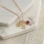 Gold Plated Capricorn Birthstone Necklace, thumbnail 5 of 6