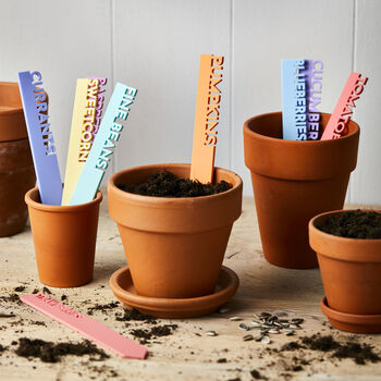 Pastel Everlasting Plant Labels, 2 of 6