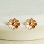 Sterling Silver Dainty Daisy Studs, thumbnail 9 of 12