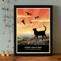 Limited Edition Shorthaired Cat Print: Cat Lovers Gift, thumbnail 1 of 7