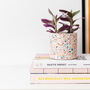 Rainbow Handmade Terrazzo Indoor Planter Medium, thumbnail 2 of 6
