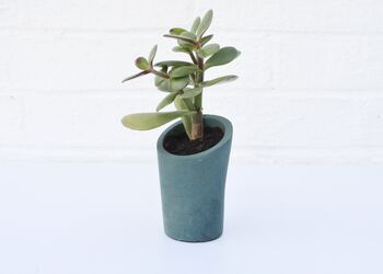 Concrete Mini Vessel Planter, Pen Pot, Desk Tidy, 3 of 7